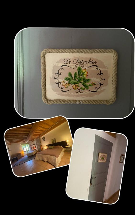 Orangerie De Cardet - Maison D'Hotes - B&B ภายนอก รูปภาพ